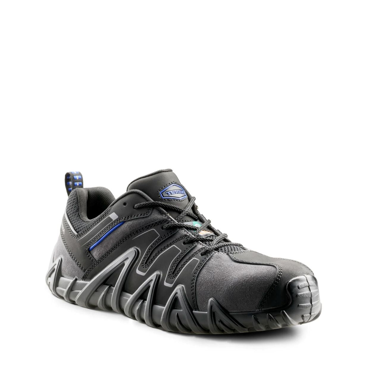 Black/grey shoe on a white background