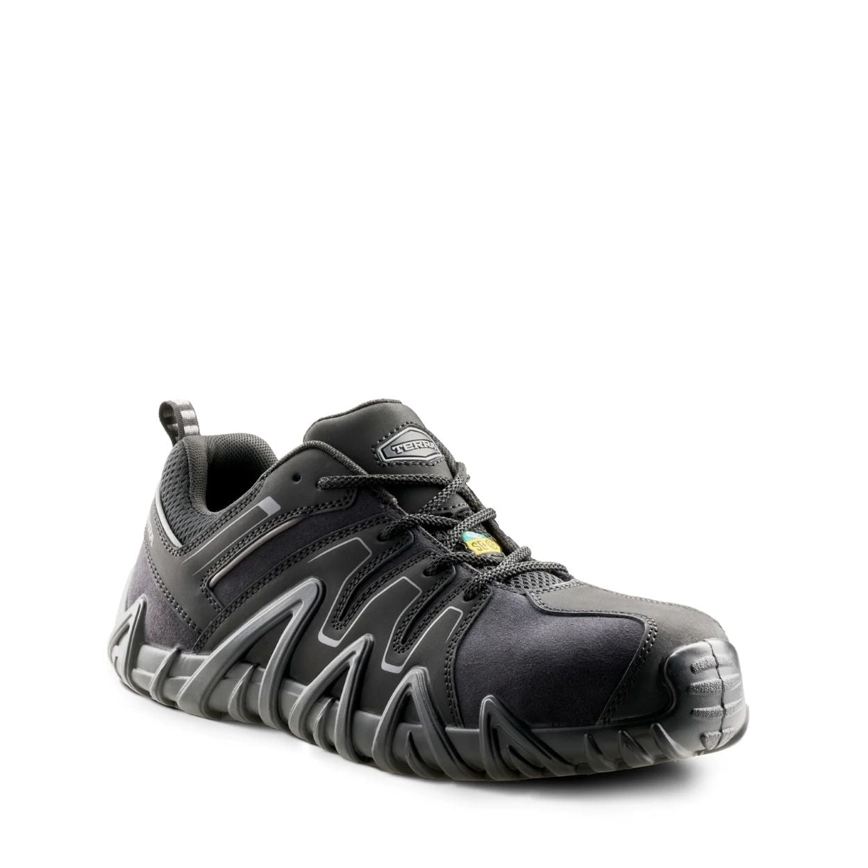 Black shoe on a white background