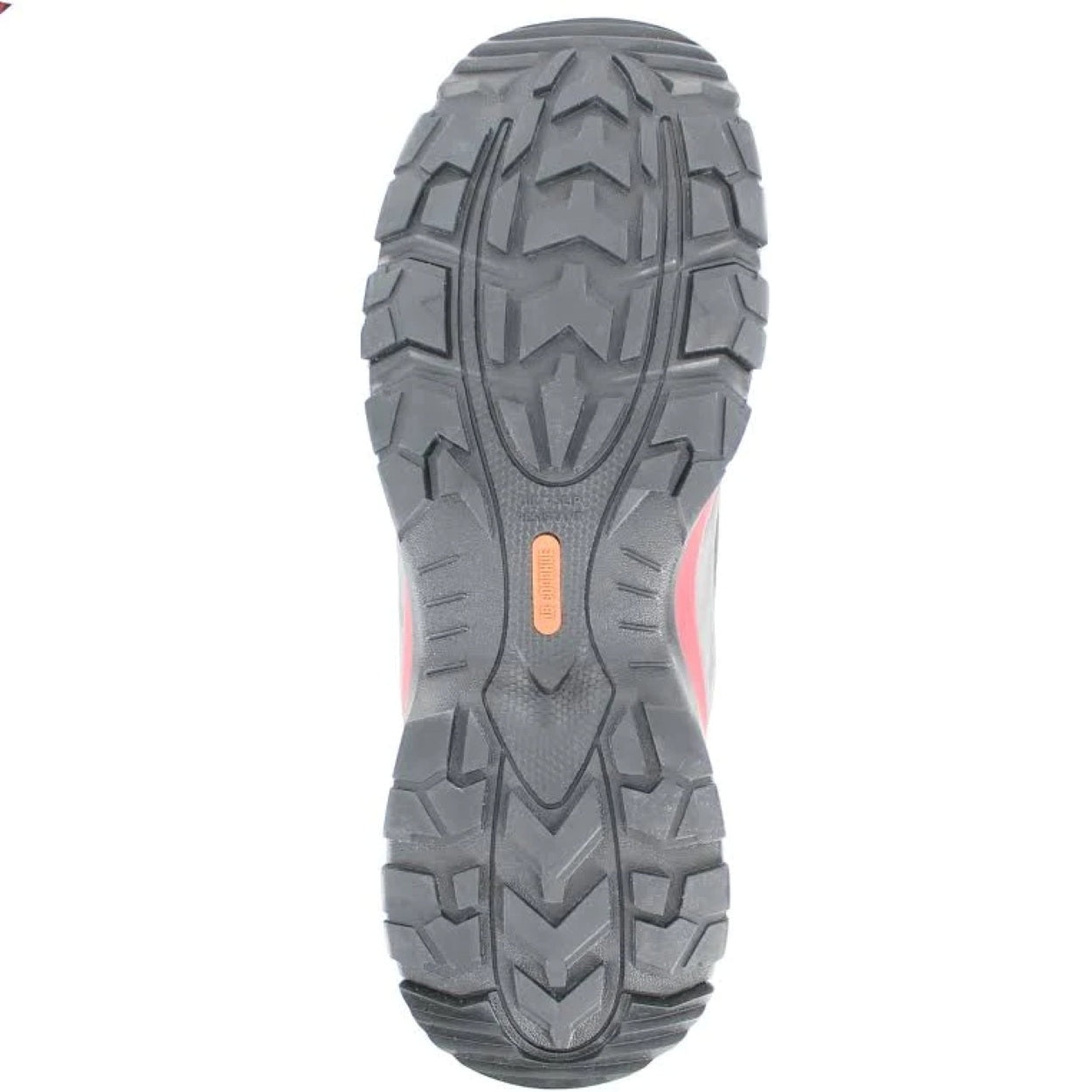 Black/red shoe on a white background