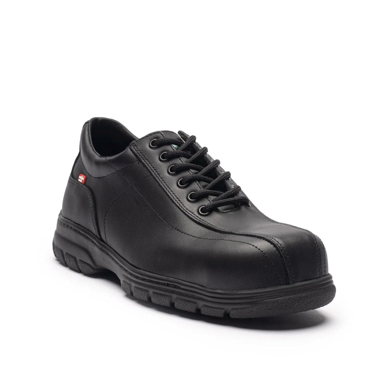 Black shoe on a white background