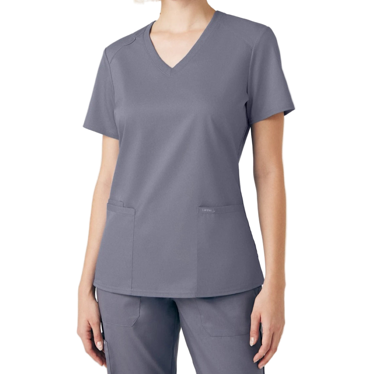 Steel scrub top on a white background