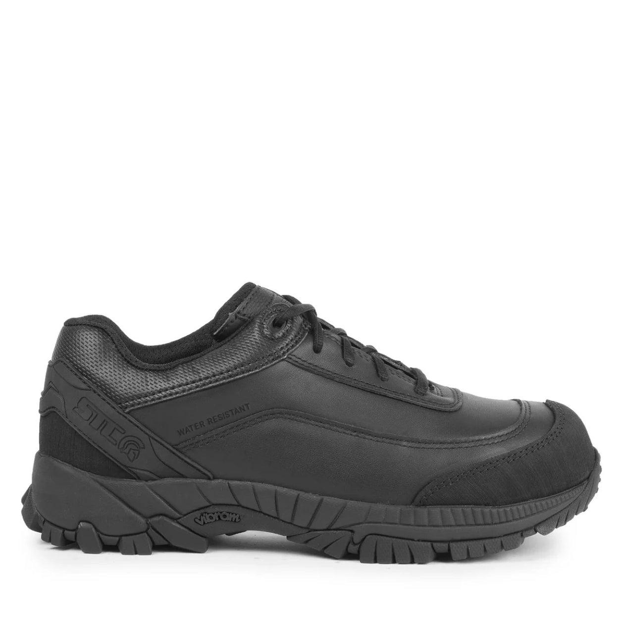 Black shoe on a white background