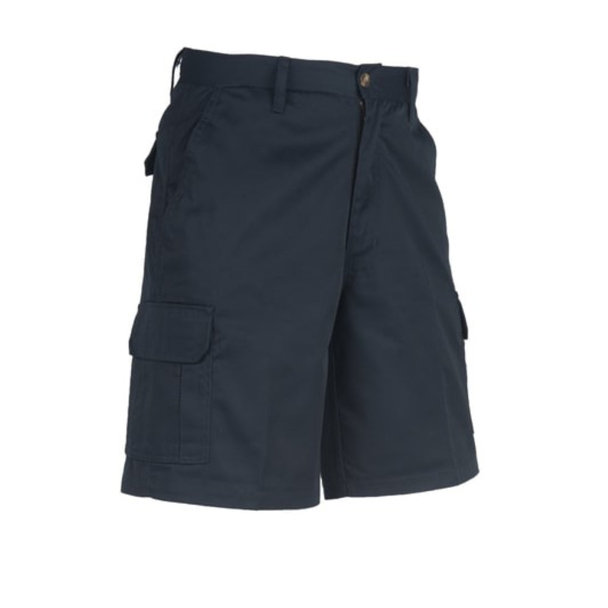 Navy shorts on a white background