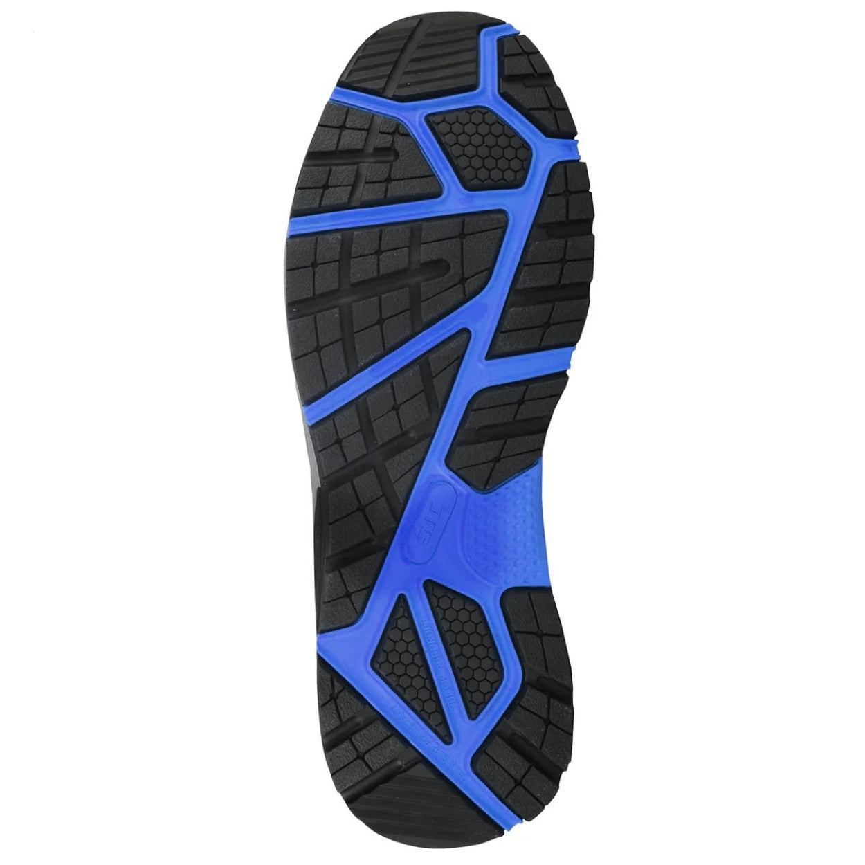 Black/Blue shoe on a white background