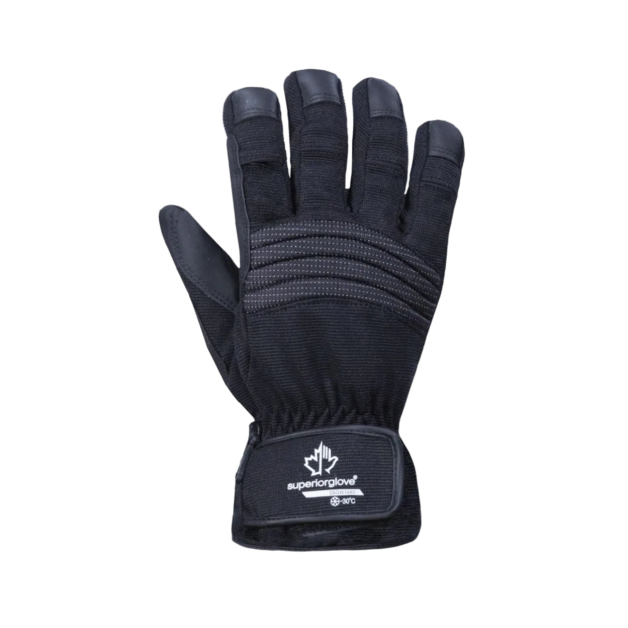 Black winter glove on a white background